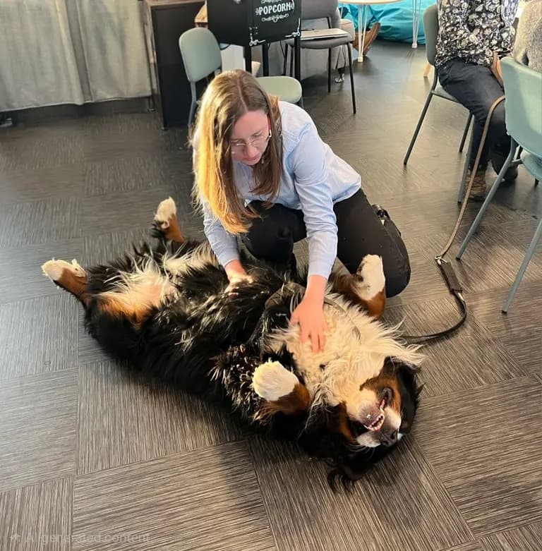 Fluffy coworker pet-friendly office